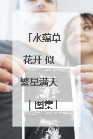 水蕴草花开 似繁星满天｜图集